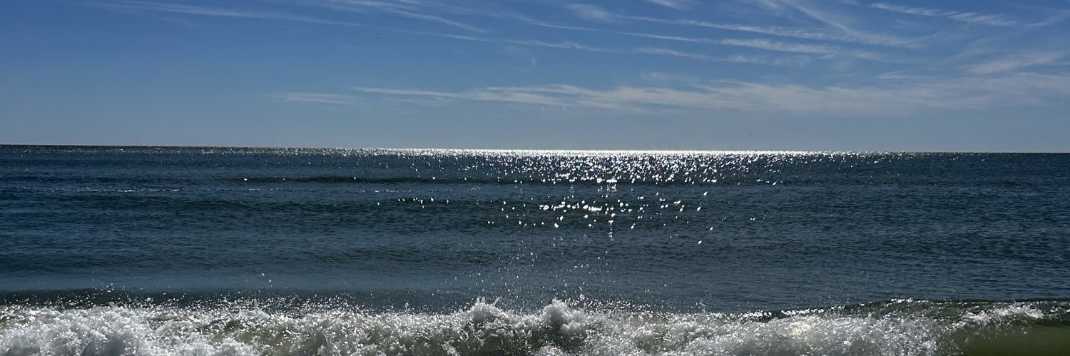 laur_8758's profile banner image