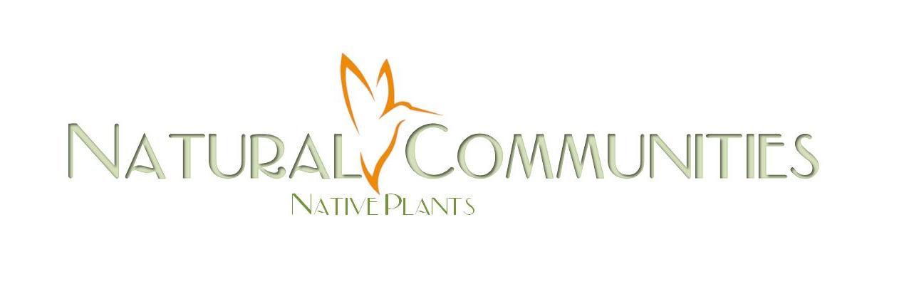 Native_Plants's profile banner image