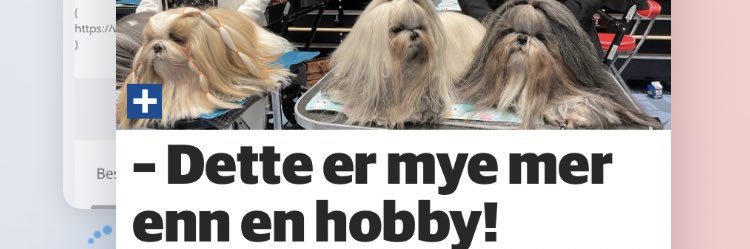 Teletorgets «Grand Old Lady» banner