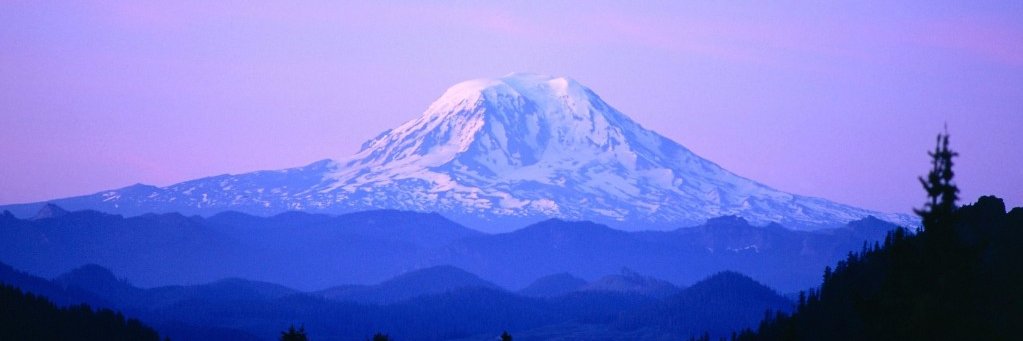 WSPTMA's profile banner image