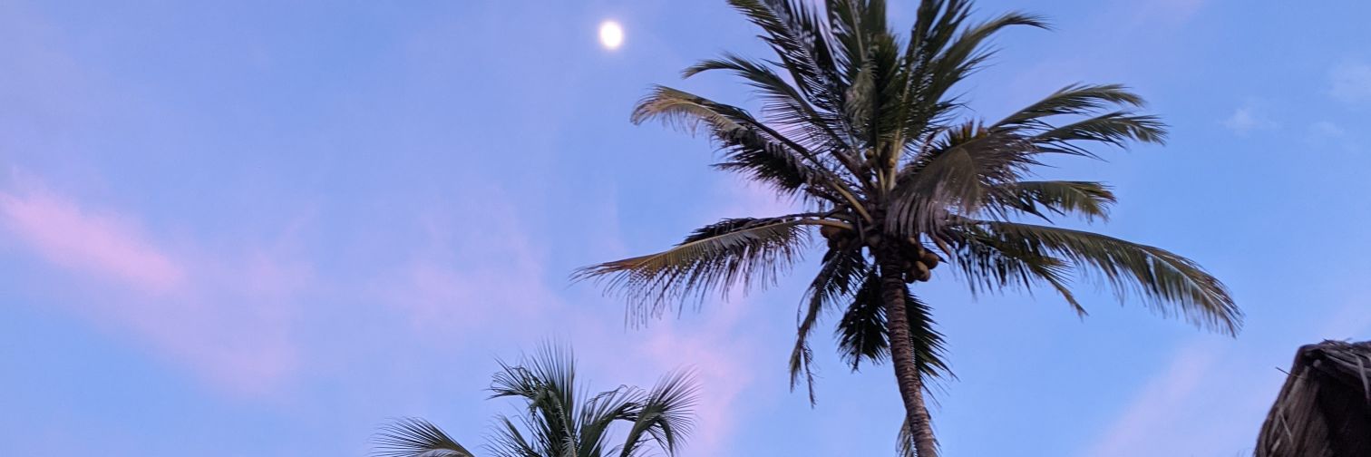 Shanegreen_'s profile banner image