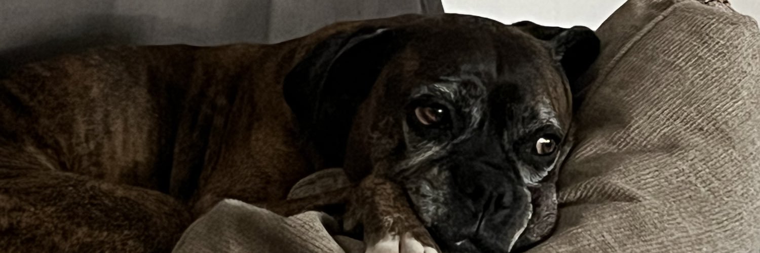 huntersot0's profile banner image