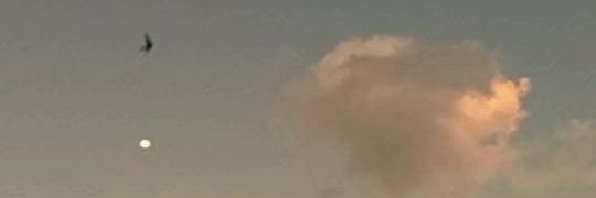 MilenaSC23's profile banner image