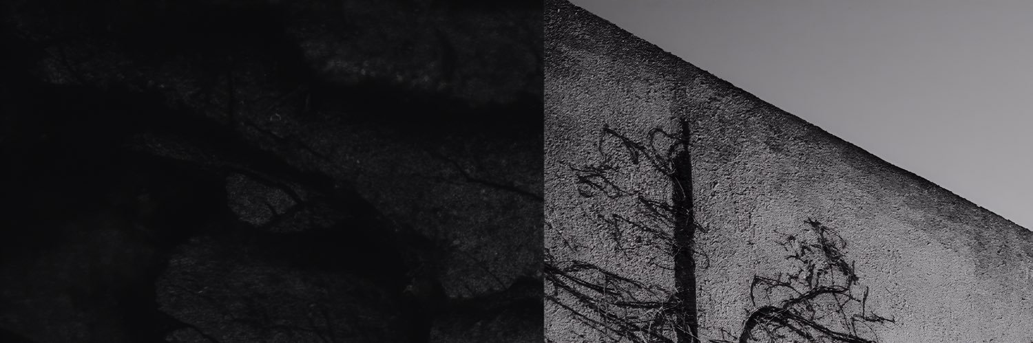 MathiasTabassi's profile banner image