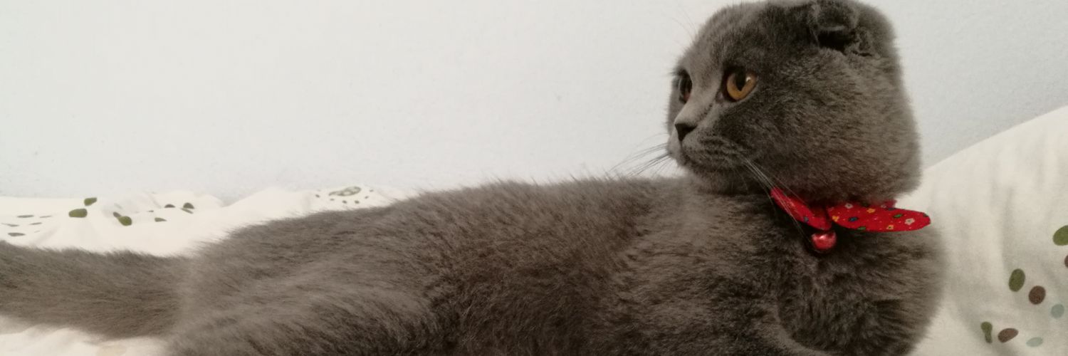 rockloverrr's profile banner image