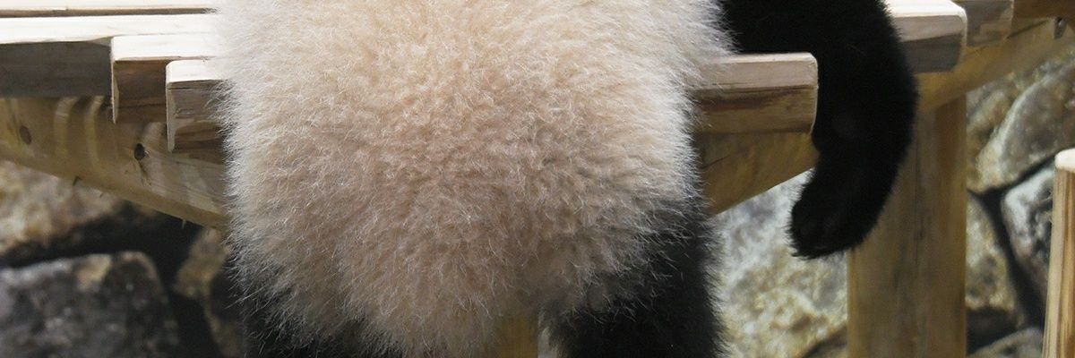 1105aya817's profile banner image