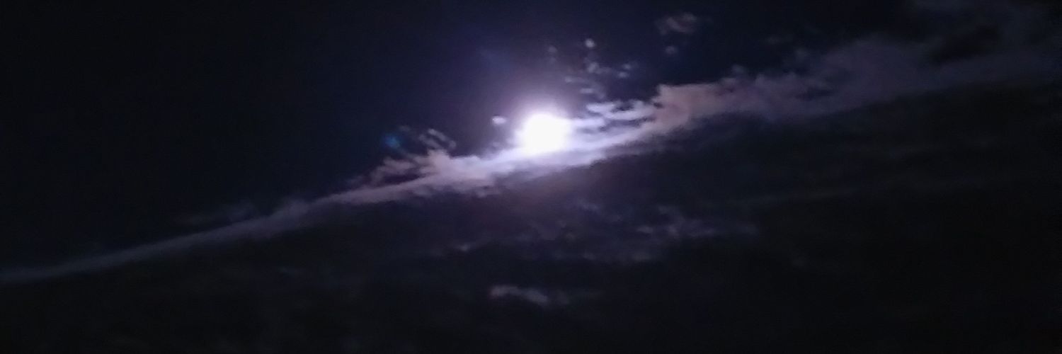 candyplankton's profile banner image
