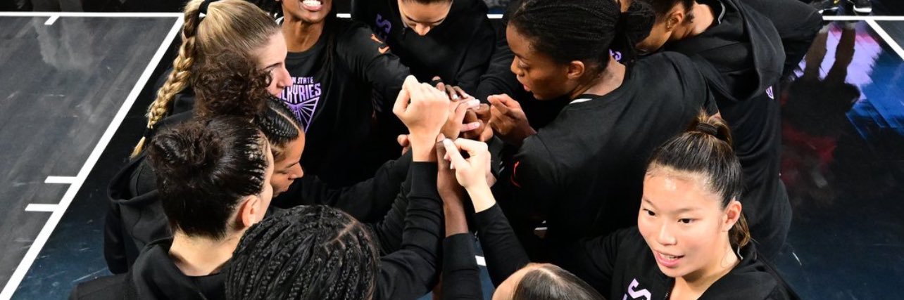 Talking Valks Ball banner