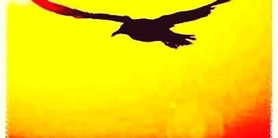 b5338's profile banner image
