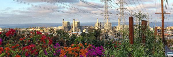 Downtown Muse banner