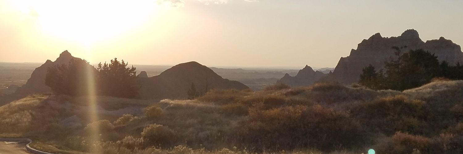 GCDurocher's profile banner image