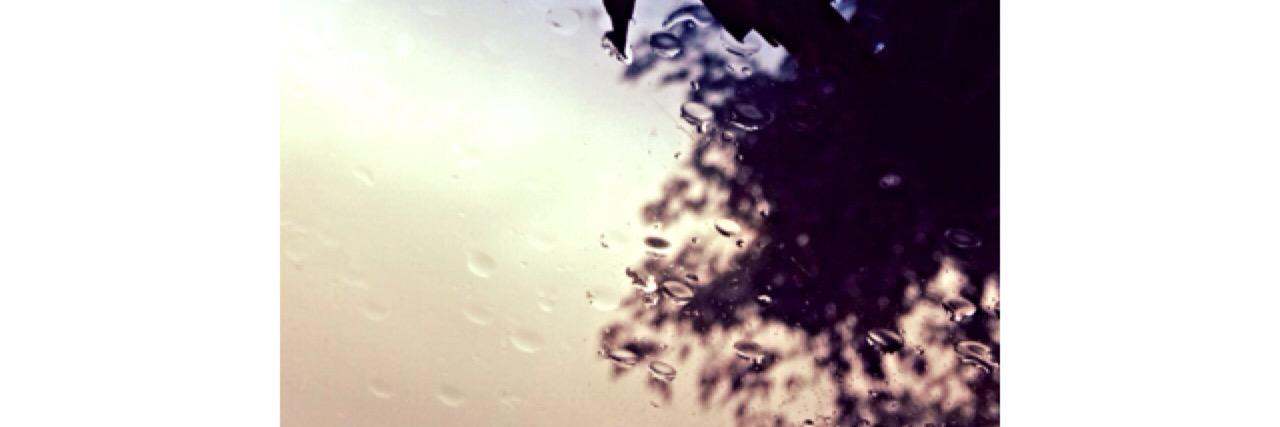 Casey Watson banner
