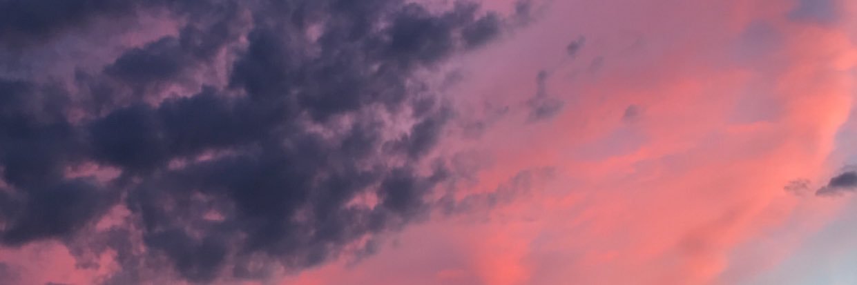 ConchillaJordan's profile banner image