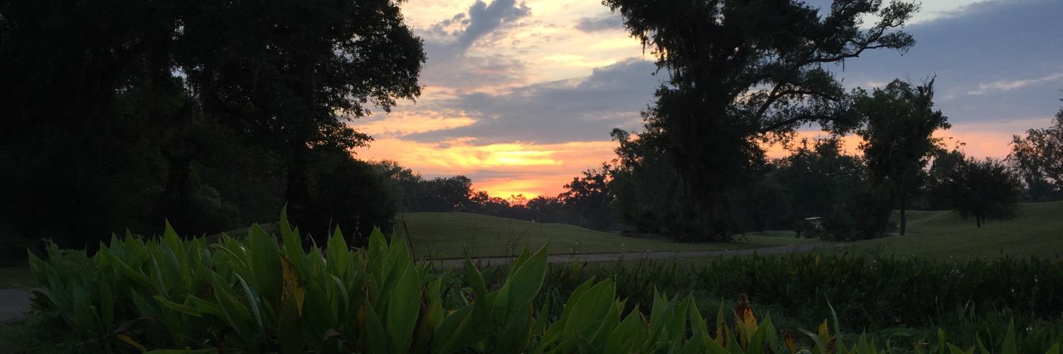 Momma_Nez's profile banner image