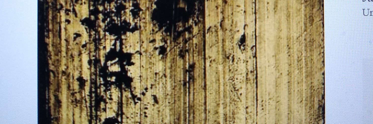 Gabitoledo51's profile banner image