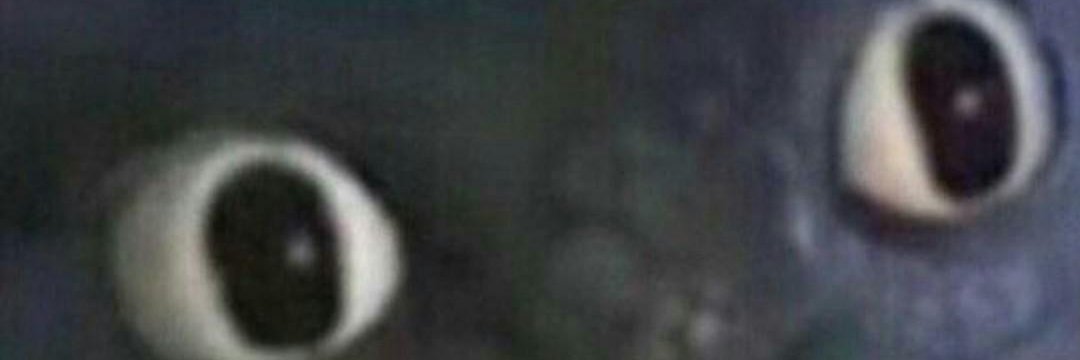 ItsJustExited banner