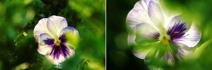 julia_beili's profile banner image