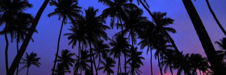 IsaiahBois's profile banner image