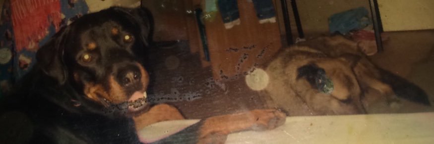morganeee91's profile banner image