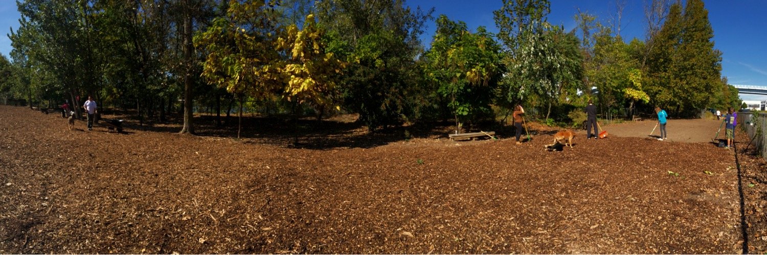 Bernard Dog Run banner