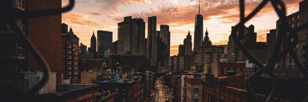 cno 𓆰︎𓆪 banner