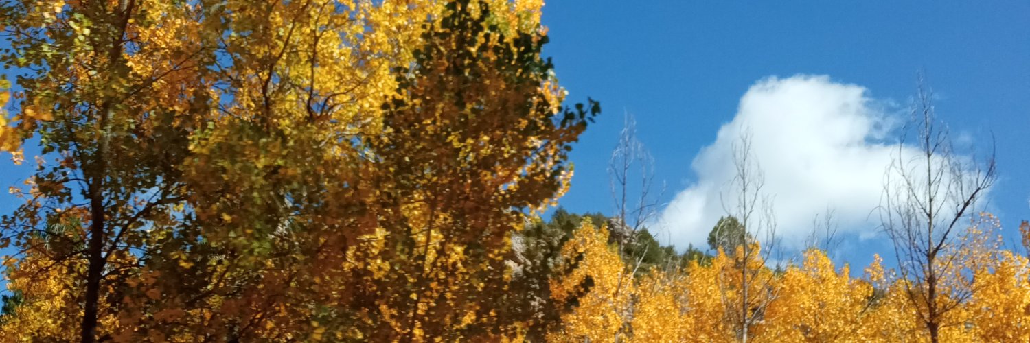TamaraZam's profile banner image
