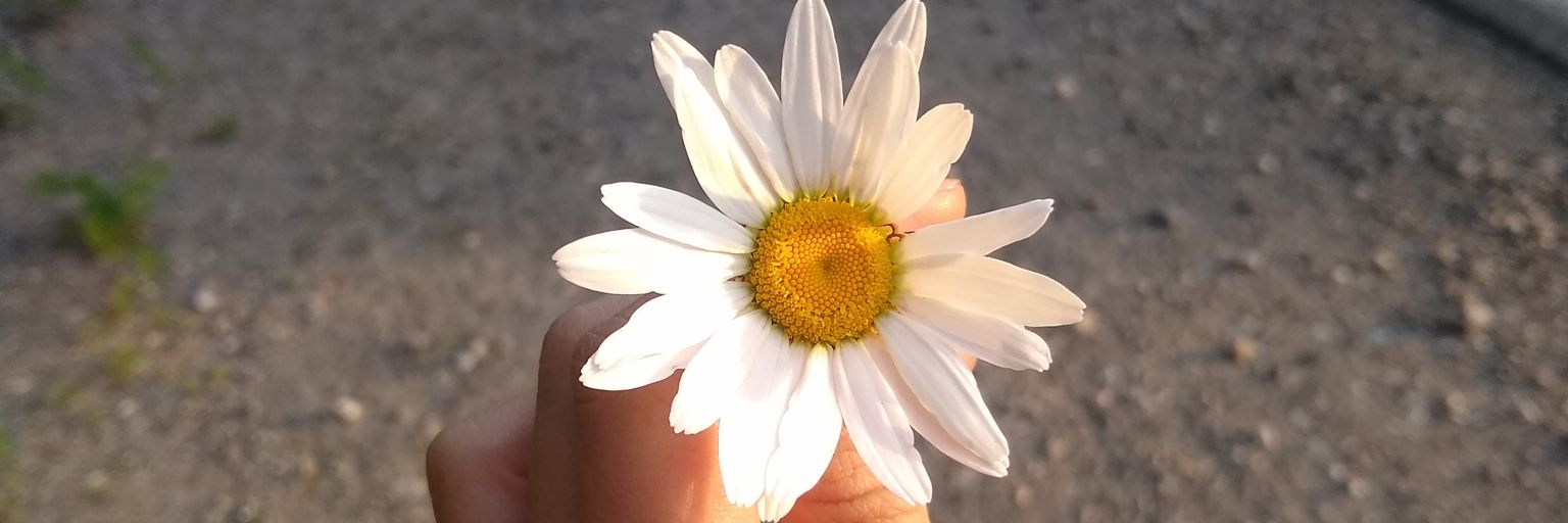 JessiDelbon's profile banner image