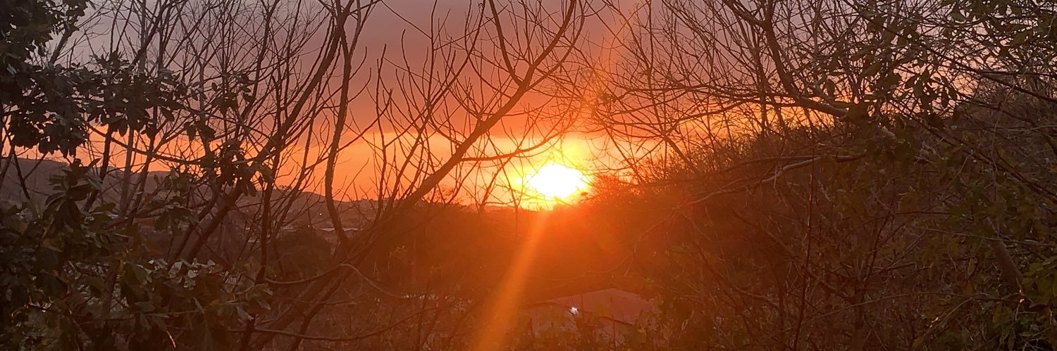 MaraSnchez1's profile banner image