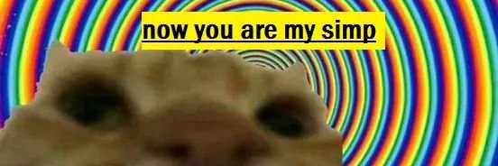 no_more_noobs's profile banner image