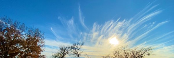 krnjesse Profile Banner