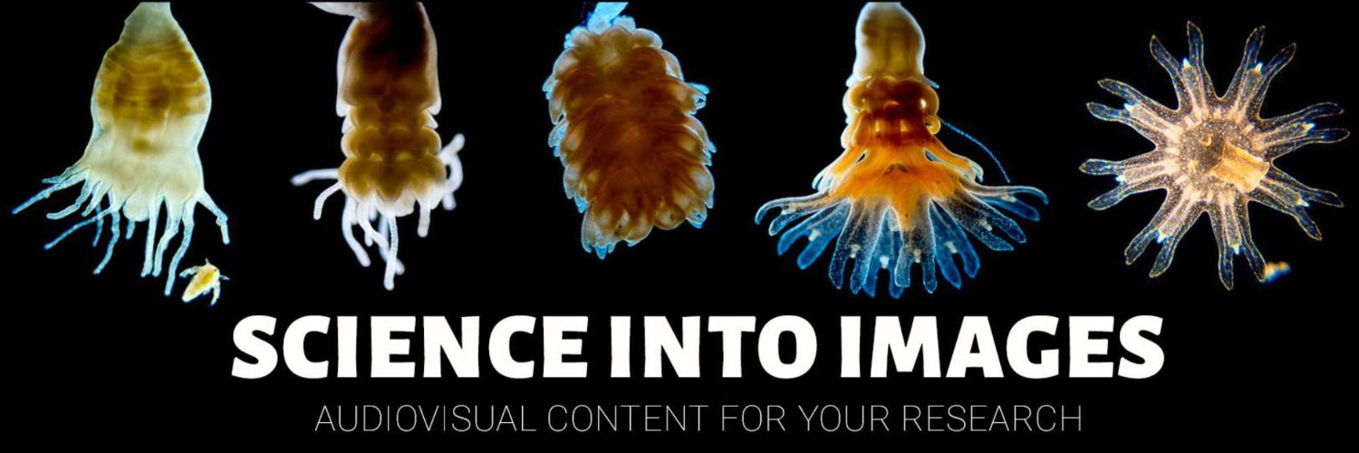 Rubén Duro Pérez banner