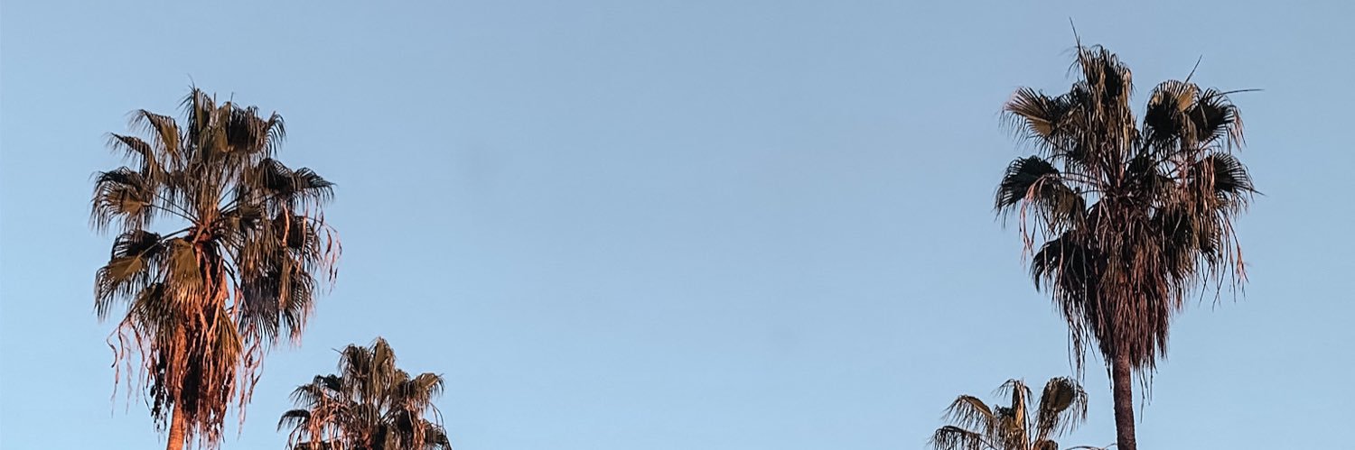 lucylmo's profile banner image
