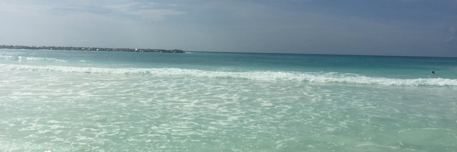 letijordan's profile banner image