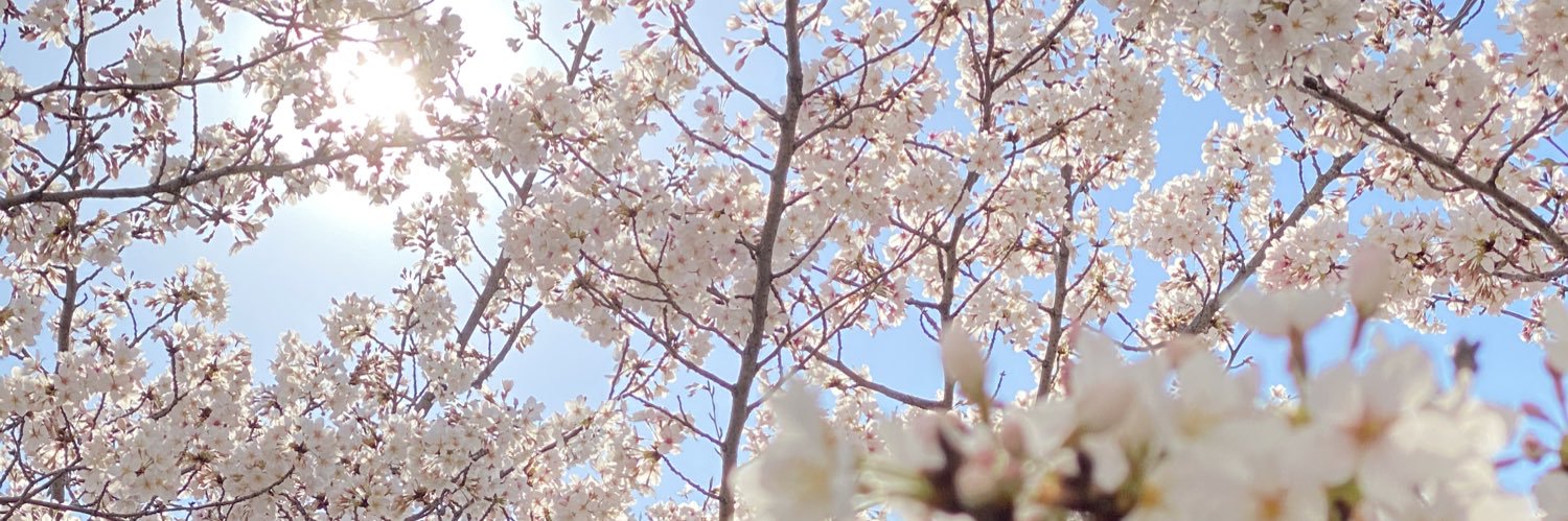 m0i9oOnly's profile banner image