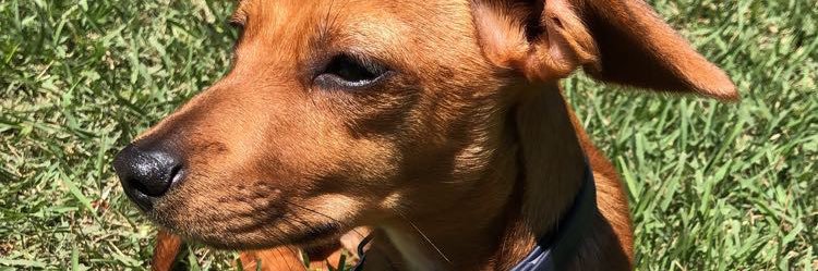 HaleyWetzel_'s profile banner image