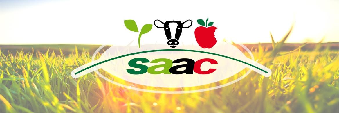 SAAC_UL's profile banner image