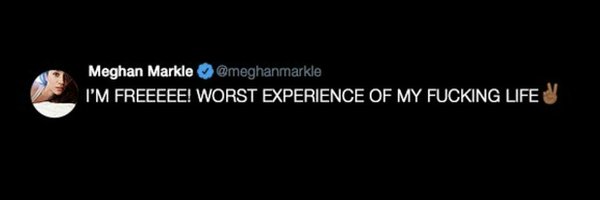 troubleshade Profile Banner