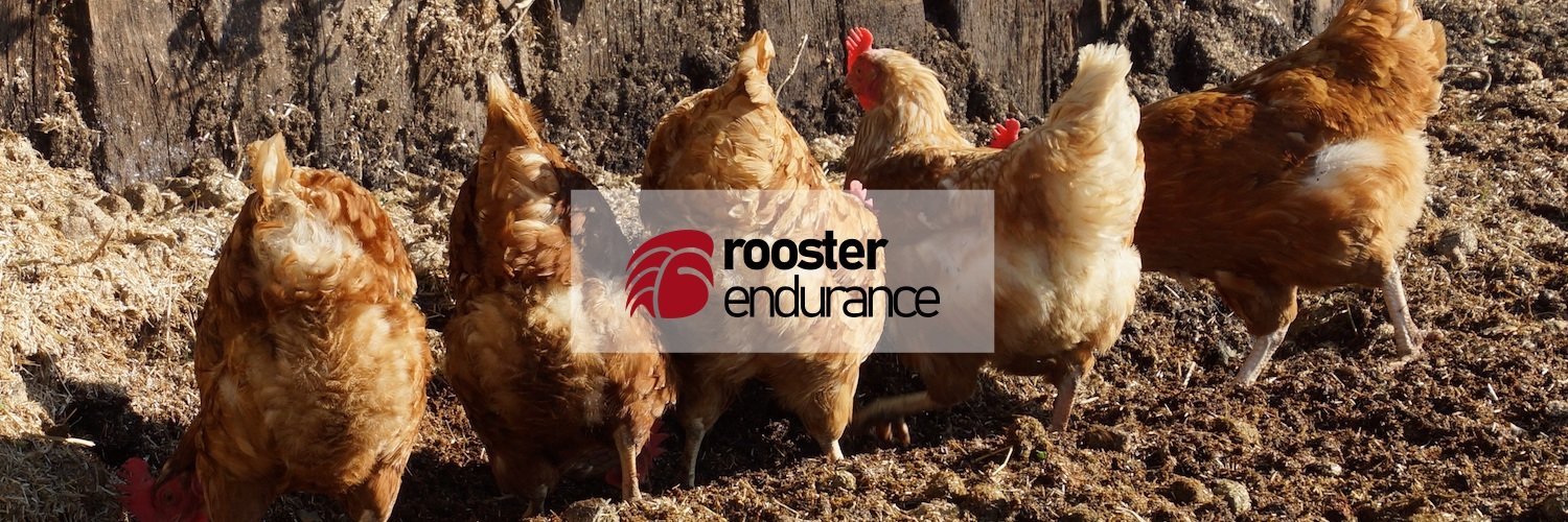RoosterExercise's profile banner image
