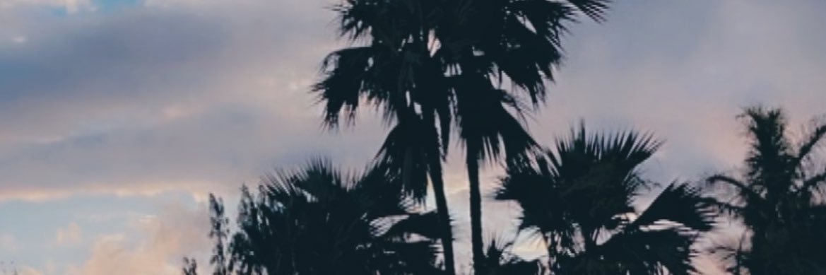 flowichane's profile banner image