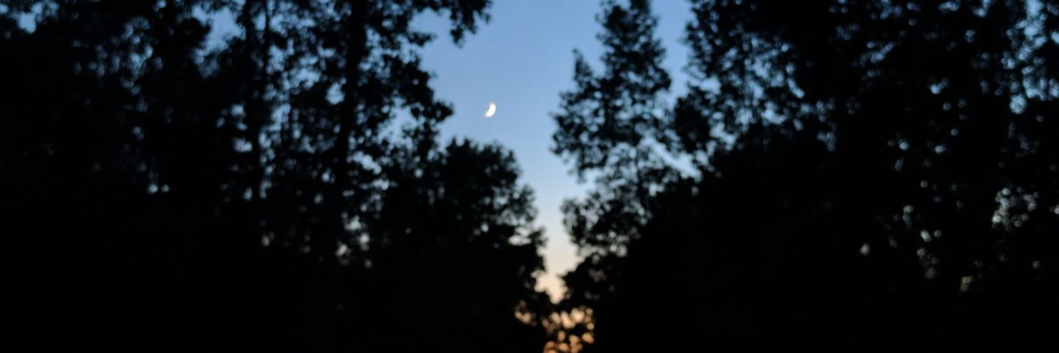 madisonvargo's profile banner image
