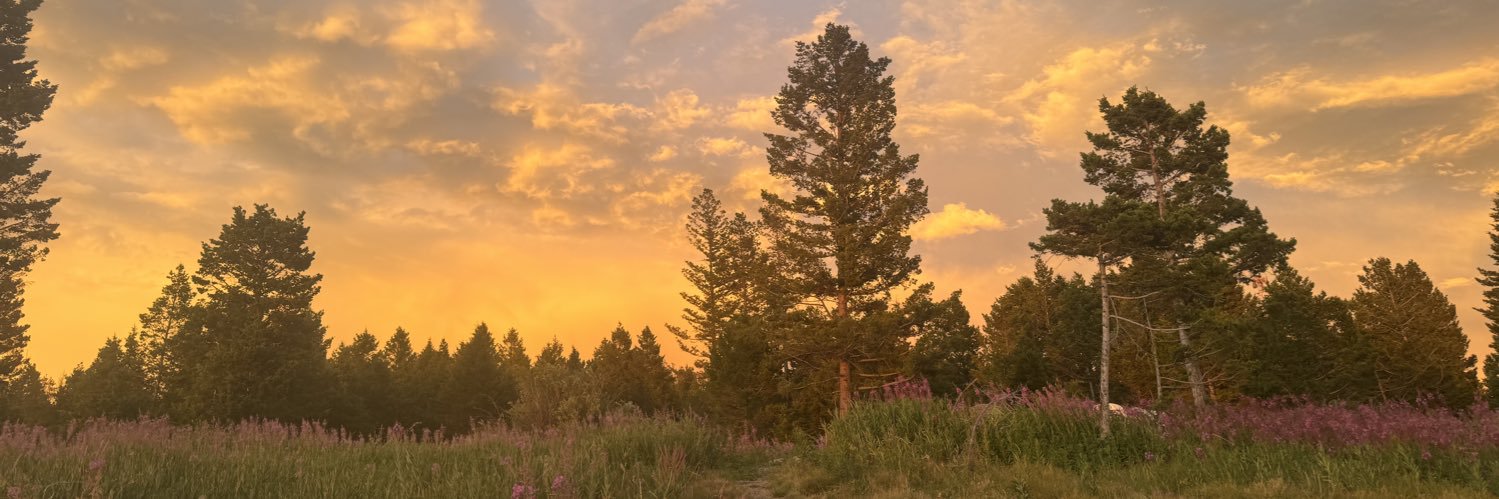 madi_thomass's profile banner image