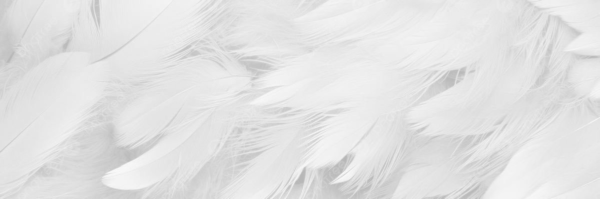 yuy___o5's profile banner image