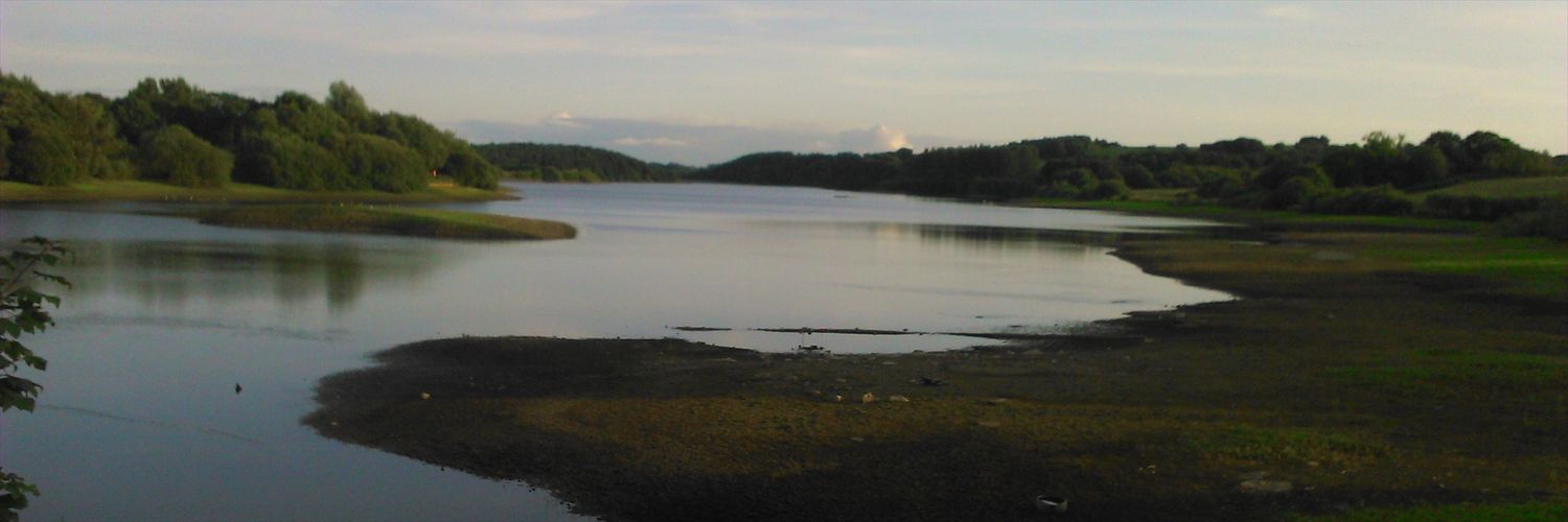 Andrew Jackson banner