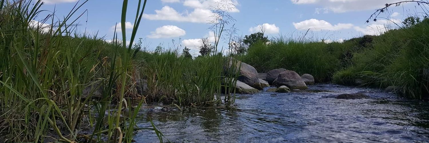 P_Olson's profile banner image