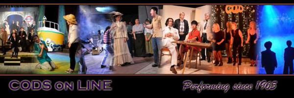 CODSCrediton Profile Banner