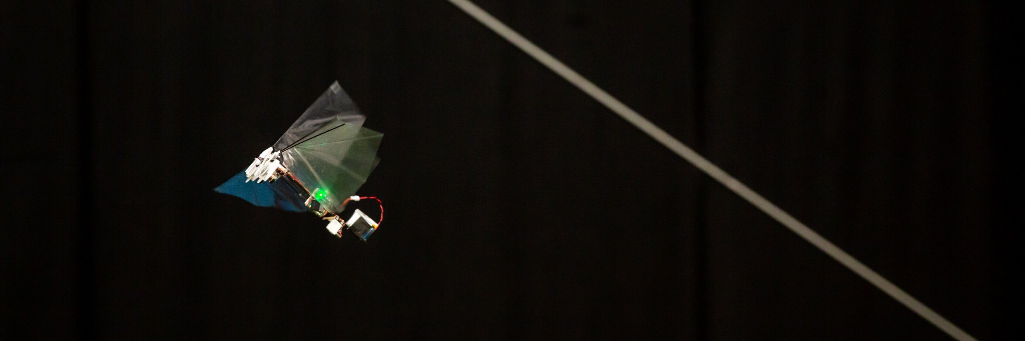 MAVLab - TU Delft banner