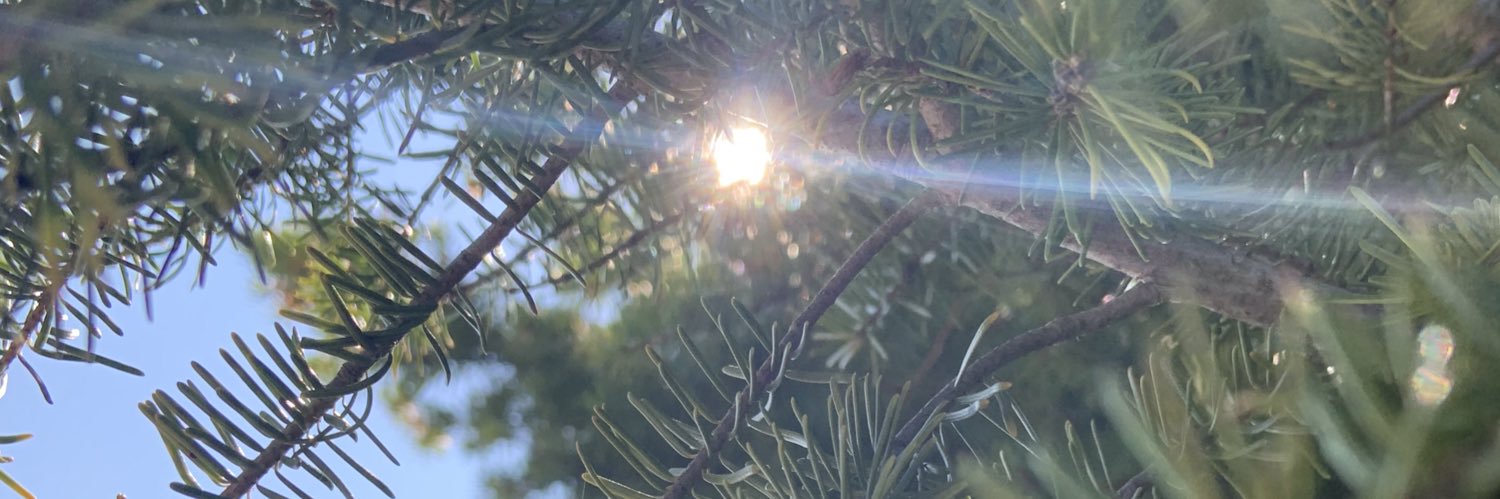 ty_knots's profile banner image