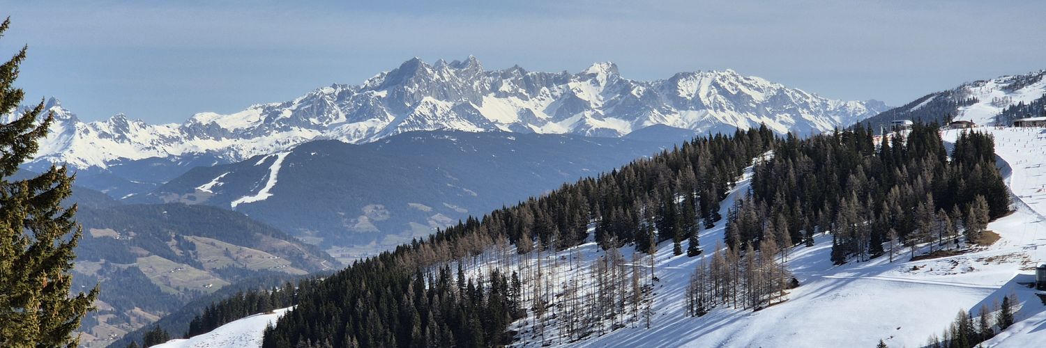 Fredrik Sandgren banner