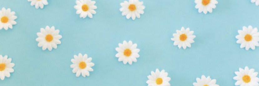 ed5120's profile banner image