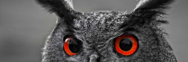 mervesuceken's profile banner image